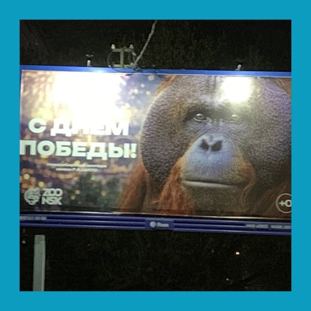 ��������� �� ������� �� ��� ������ �������� ������������.������������� ������� ����� ���������� ... - 2
