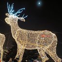 ���� �������, �����������, 57 ��� - ��������� 17 ������� 2023