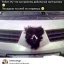 ���� �����, ������, 50 ��� - ��������� 8 ������ 2024 � ������ ������ ��������