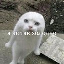 ���� Vladimir, ���������, 59 ��� - ��������� 18 ������� 2025 � ������ ������ ��������