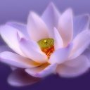 ���� �������, ������, 66 ��� - ��������� 1 �������� 2024 � ������ ���� ����������