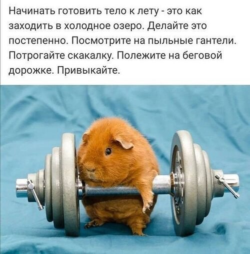  ! - 10  2025  11:01