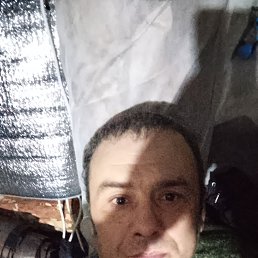 �����, 41 ���, ������