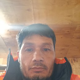 , 34, -