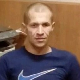 �����, �����-���������, 41 ���