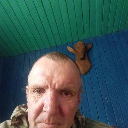 , 44, 