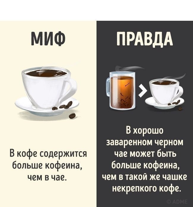 10 ����� ���������������� ����� � ����� ������� �������� - 6