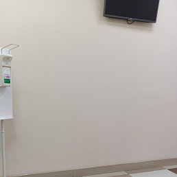 ���� ������, �����-���������, 41 ��� - ��������� 12 ������ 2023