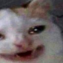 ���� �����, ������������, 28 ��� - ��������� 28 ������� 2026