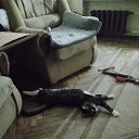  , -, 56  -  14  2025    