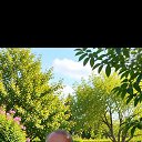 ���� ������, ������ ����� - ��������� 5 ������ 2026