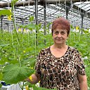 ���� �������, ��������, 66 ��� - ��������� 1 ����� 2024