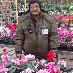 , 54, 