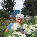 ���� �������, �����������, 64 ���� - ��������� 21 ������� 2024 � ������ ���� ����������