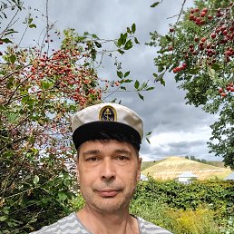 , 51, 