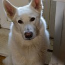 ���� �������, ��������� - ��������� 12 ������ 2025 � ������ ������ ��������