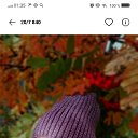 ���� � ������, �����-���������, 49 ��� - ��������� 25 ������� 2026 � ������ ���� ����������