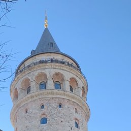 ���� �����, ������, 48 ��� - ��������� 26 �������� 2026