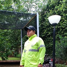 Arie, ��������, 35 ���