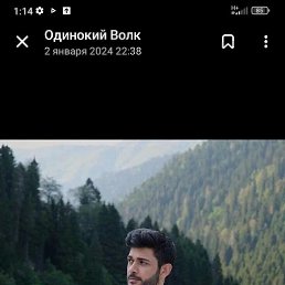 ������, ������, 38 ���