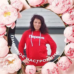 ���� ����, ��������, 37 ��� - ��������� 26 ����� 2026