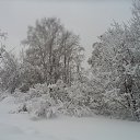 ���� ������, �������, 68 ��� - ��������� 8 ������� 2025 � ������ ���� ����������