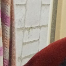 ����, ���������, 50 ���