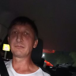 , 50, 