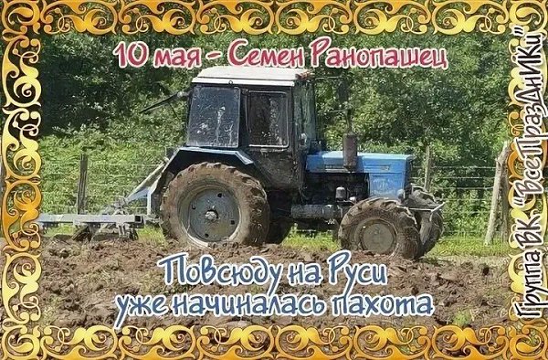 Именины: Анастасия, Семен, Павел, Иларион, Сергей, Георгий, Мария