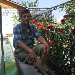 ���� �����, ���� - ��������� 13 ������� 2025