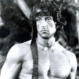 ����, ������, 40 ���