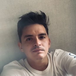 , 33,  