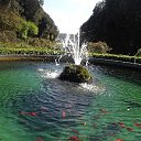 ���� �����, ������, 42 ���� - ��������� 25 ������� 2024 � ������ ���� ����������