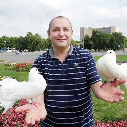 ���� �����, ������, 45 ��� - ��������� 2 ������ 2023