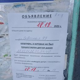 ���� ������ �������, ������, 40 ��� - ��������� 20 ������� 2025