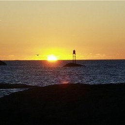 ���������, ������, 44 ����