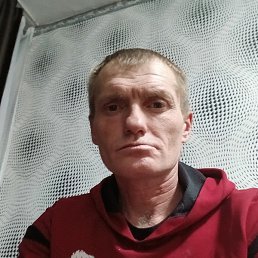 ������, ������, 41 ���