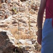 ����, , ������