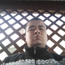 , 23, 