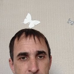 , 42 , 