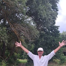 ������, ������, 56 ���