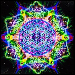 Baggysaggerwet, �����, 51 ���