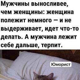 ����, �����������, 60 ���