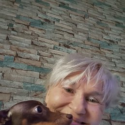 ����, �����-���������, 53 ����