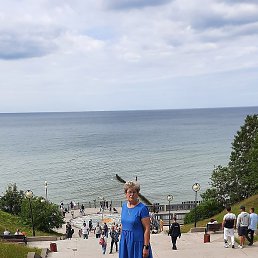 �����, �������, 55 ���