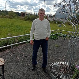 , 61, 