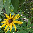 ���� ���� � �������� �� ���������� ..., ����� - ��������� 30 ������ 2025 � ������ ������ ��������