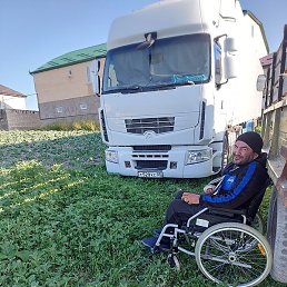 ������, ������, 33 ����