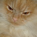 ���� �������, ������, 55 ��� - ��������� 25 ������� 2023 � ������ ���� ����������