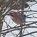 ���� ����, ������, 45 ��� - ��������� 12 ������ 2026 � ������ ������ ��������